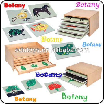 Edu Factory Biologia Puzzles Montessori Materiais Brinquedos Ensinando Auxiliares